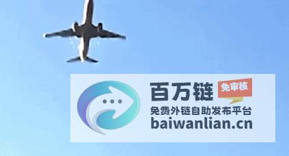 惨烈航空灾难飞鸟撞机导致韩国客机恐179