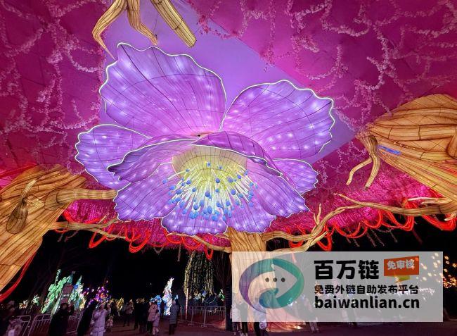 北京千灯夜闪耀温榆河公园打造夜间网红圣地2025