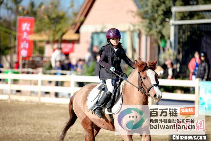 年轻人马背寻治愈收获独特体验马术运动风靡马背