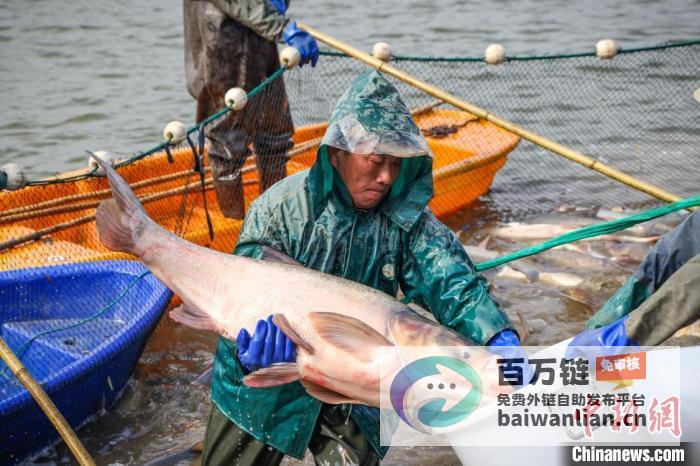 高校盛邀全校师生共度年冬日捕鱼盛宴上