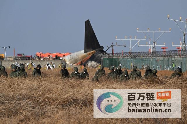 韩国空难调查揭秘鸟撞与员处置韩国空难调查