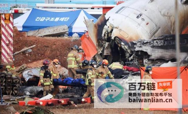 韩国空难调查揭秘鸟撞与员处置韩国空难调查