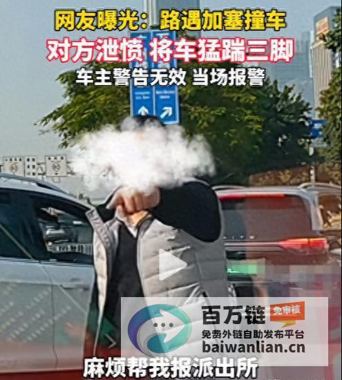 车主报警蛮横行为引发争议责任归属待定加塞被撞