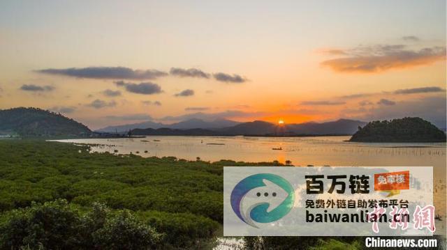 处省级重要湿地16新增为红树林保护增添新动