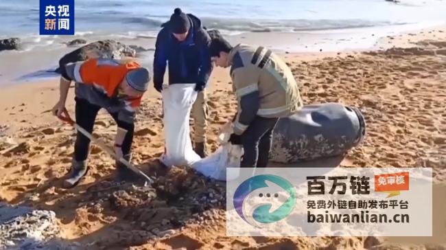 黑海海岸油污事件 港口城市进入紧急状态 (黑海海岸油污排放)