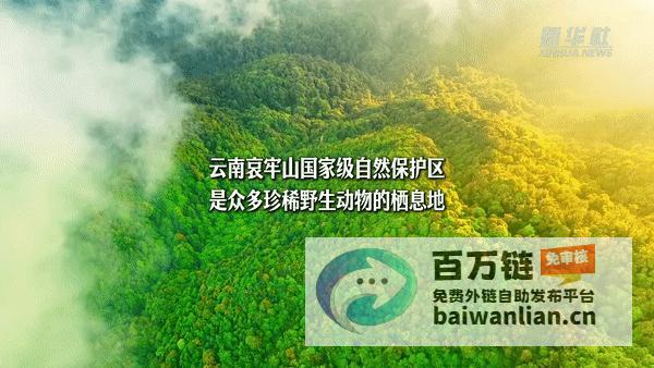 bold争相出镜哀牢山生物多样性监测显成