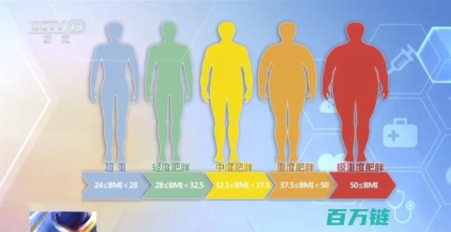 细化至各地区饮食特色权威食谱全面覆盖国家版减