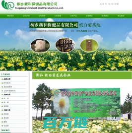 杭白菊-桐乡新和保健品有限公司