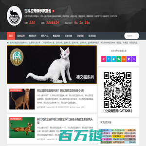 世界名宠俱乐部纯种猫舍 - 缅因猫_布偶猫_英国短毛猫_斯芬克斯猫_挪威森林猫_等等