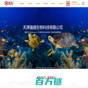 水族食品,鱼食,饵料,鱼粮_水族食品- 专注鱼粮 - 强盛生物_食品