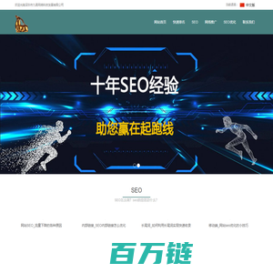 SEO_快速排名_网站优化_网络推广_seo优化 - 老羚羊软件