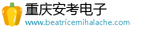 重庆安考电子商务有限公司