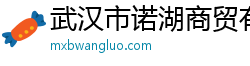 武汉市诺湖商贸有限公司