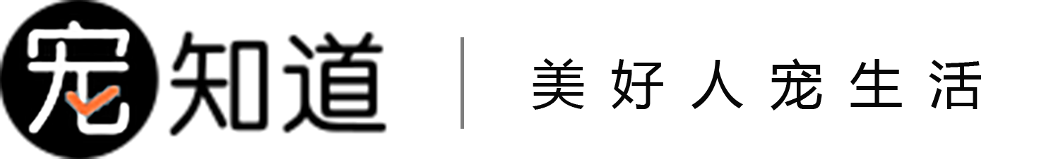 萌它宠物_宠知道官网,国内知名宠物店连锁品牌