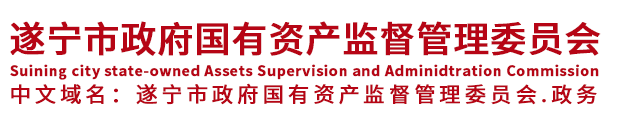 遂宁市政府国有资产监督管理委员会