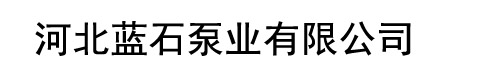 渣浆泵-潜水渣浆泵-液下渣浆泵-压滤机入料泵-河北蓝石泵业有限公司