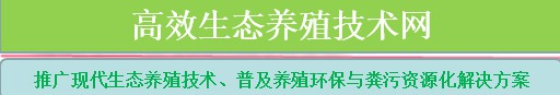 高效生态养殖技术网|养殖场环保|养殖场污水处理|饲料发酵剂|非洲猪瘟发酵中草药|养殖场环保解决技术网|粪污资源化技术网|动物高品质肉质生产指导|牧草高效益种植利用技术网-【现代生态养殖技术网】