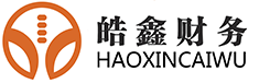 广州代理记账_广州财务公司_广州代理注册公司-广州皓鑫财务代理有限公司