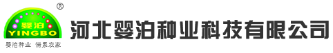 河北婴泊种业科技有限公司_河北婴泊种业科技有限公司