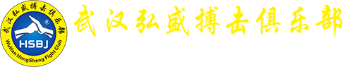 汉口散打培训,少儿散打培训,武术散打,武汉散打俱乐部-弘盛搏击