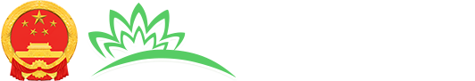 广州市番禺区人民政府门户网站