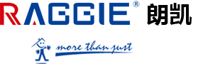 SHANGHAI RAGGIE POWER CO., LTD.——Solar Manufacturer、Supplier、Exporter