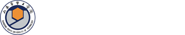 山东华宇工学院