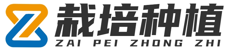 首页 - 重庆勇珠恒商贸有限公司